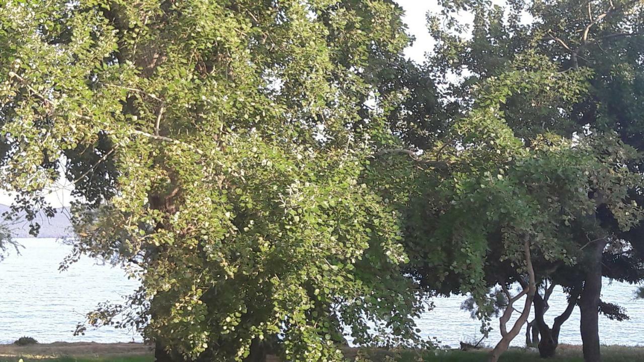 Apartmani Vitturi Kastela Dış mekan fotoğraf